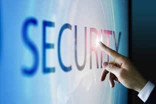 國(guó)際貿(mào)易與電子商務(wù) 區(qū)別、聯(lián)系與融合